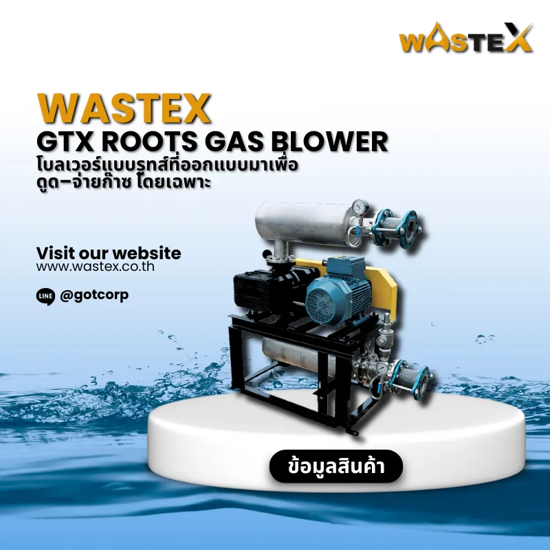 Root GAS Blower โบลเวอร์แบบรูทส์สำหรับดูดและจ่ายก๊าซ Biogas Methane ในระบบอุตสาหกรรม